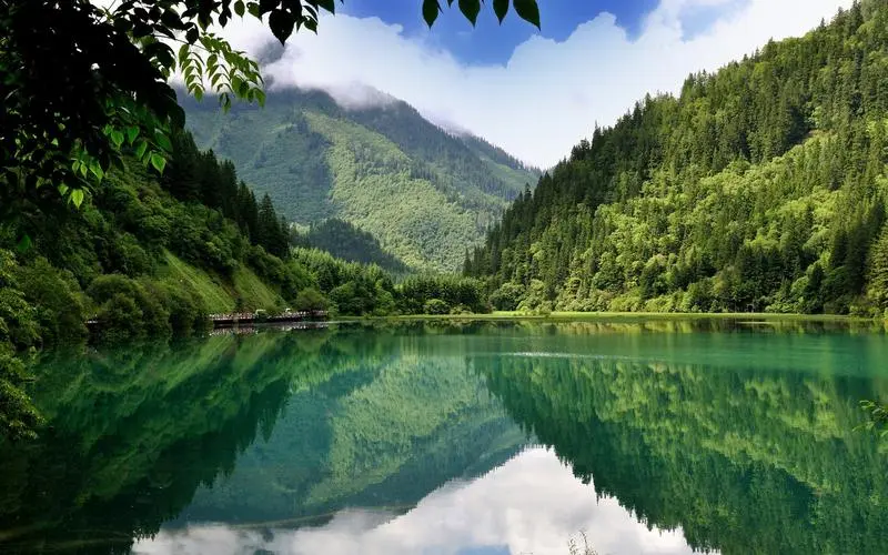 高效智能